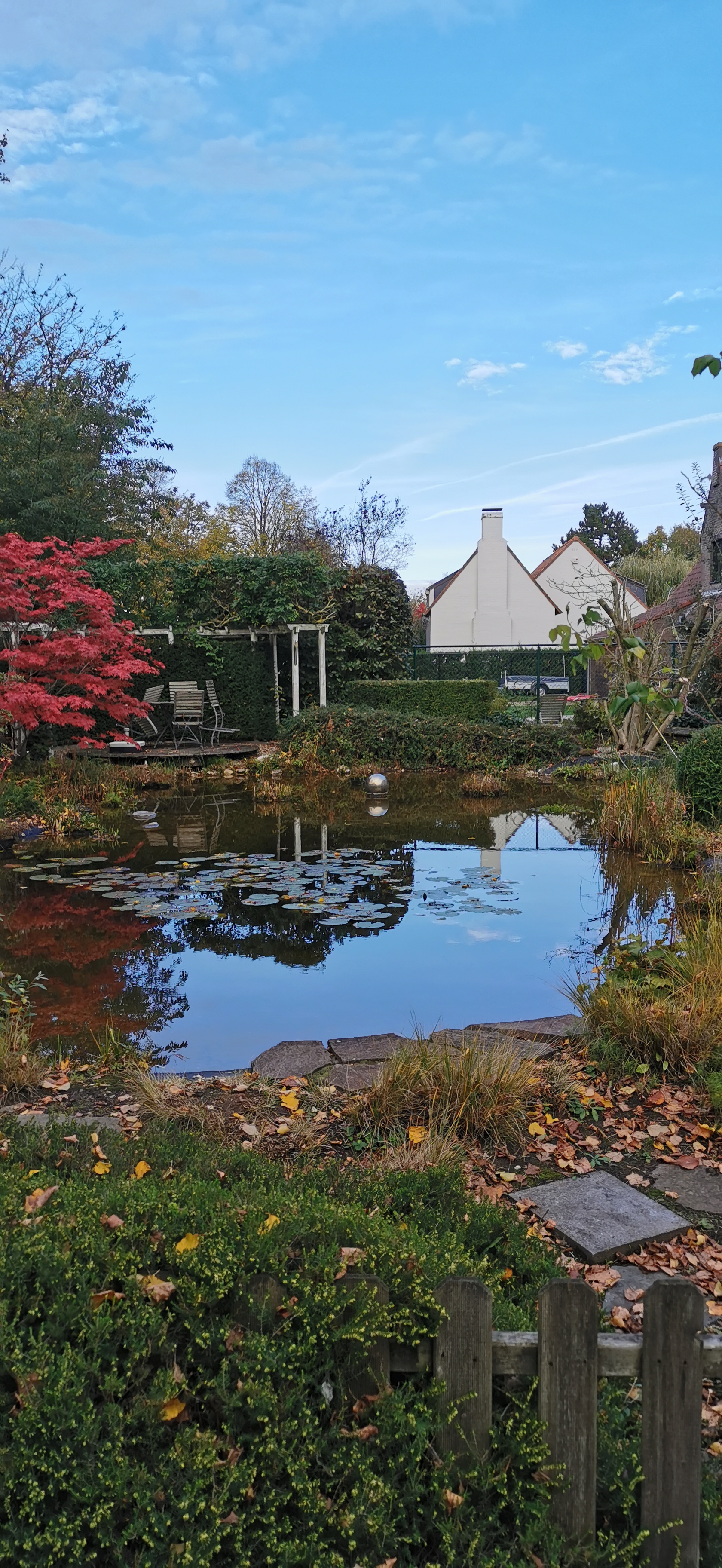 Tuin met vijver